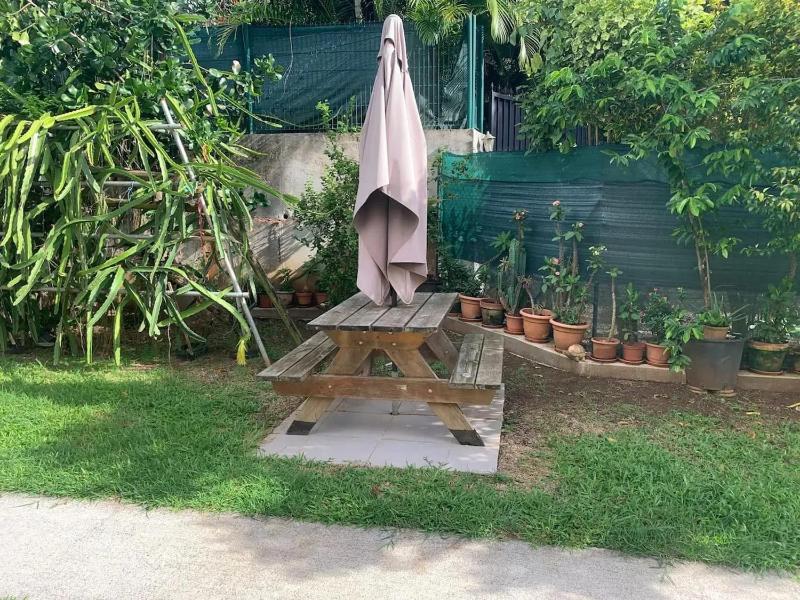 Appartement confortable à Ducos 37 m² jardin privé - image 2