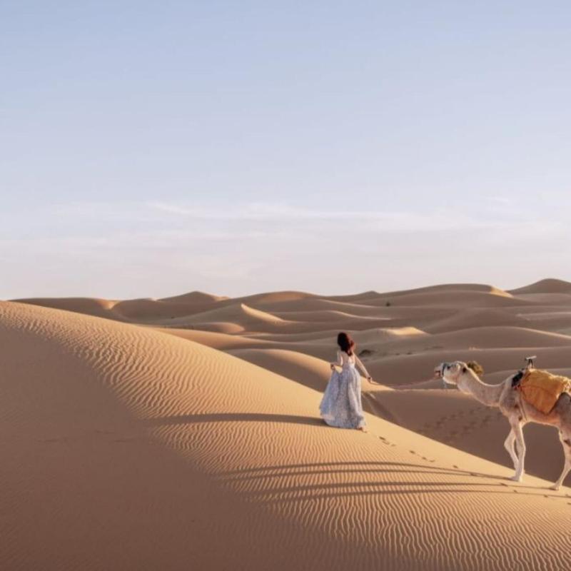 Sahara serenity camp - image 8