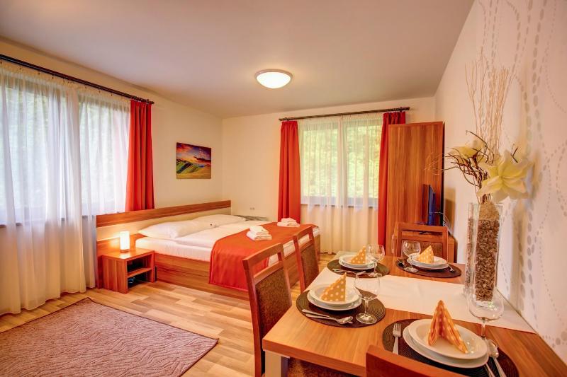 Large Studio Apartment with Extra Bed image 1