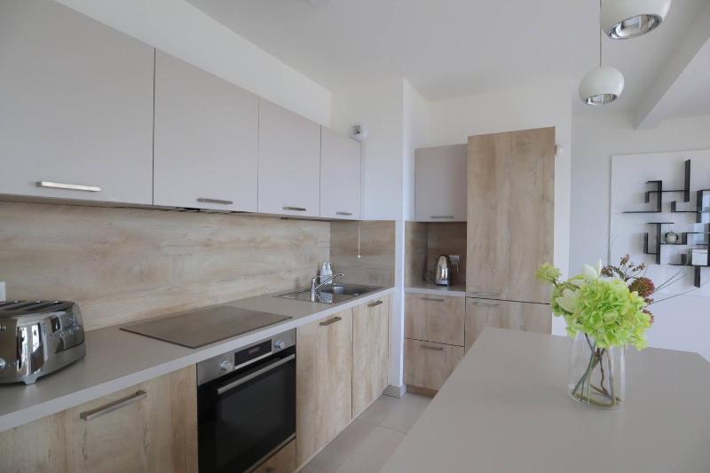 MonteCarloSeaView & Jacuzzi & Parking #29 - image 12