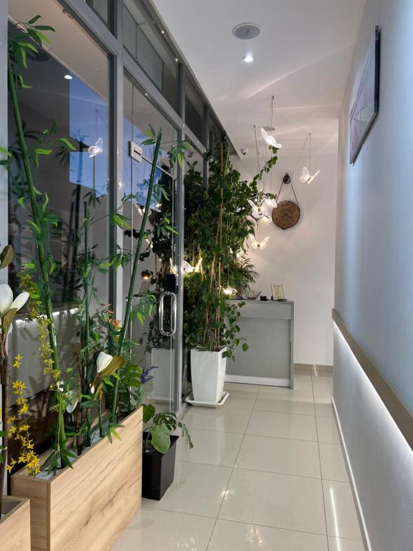 AA Boutique Hotel - image 8