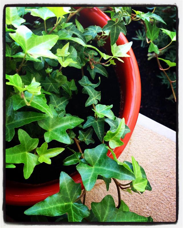 Al-Gharb Tavira Eco GuestHouse - image 10