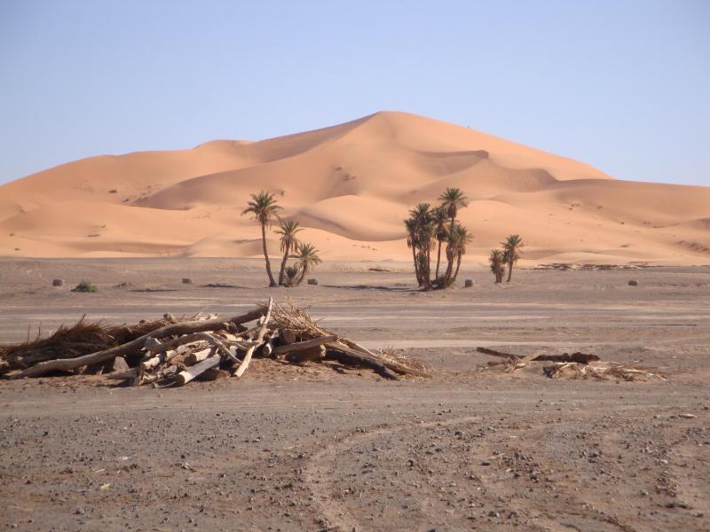 Riad Aicha & Camel Trekking - image 25