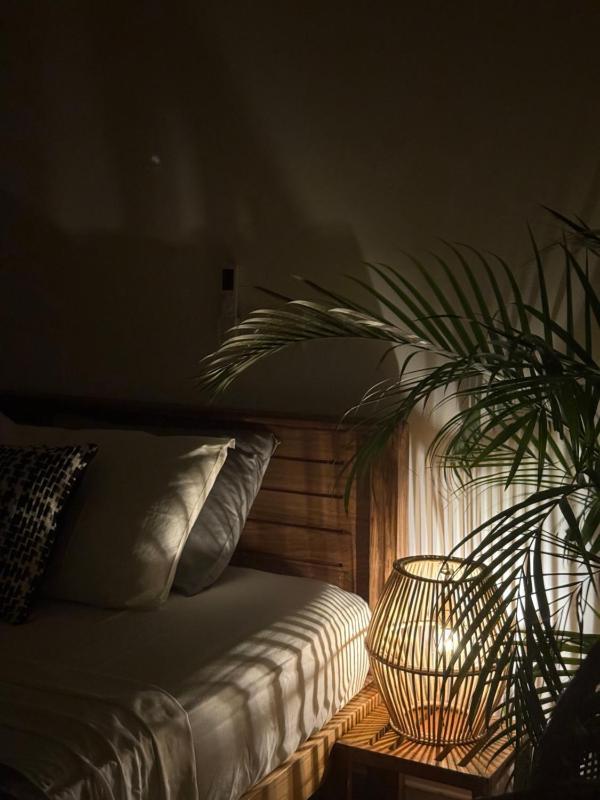 Coconut Palm beach restaurant and rooms - image 5