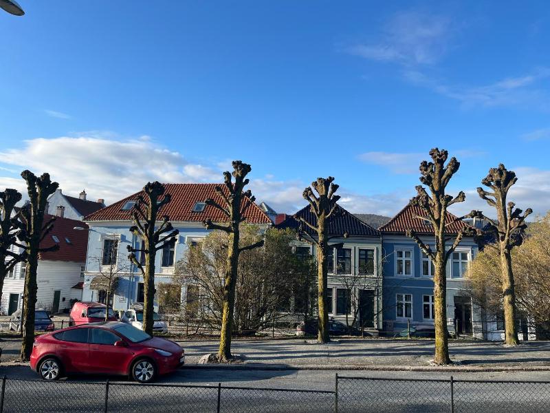Klosterhagen Hotel - image 5