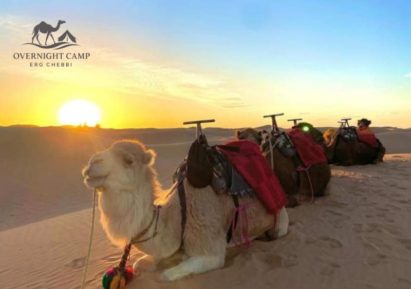 Overnight Camp Erg Chebbi - image 41