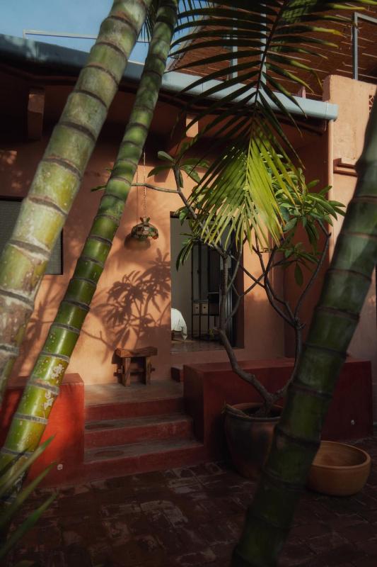 Casa Arrona Oaxaca - image 6