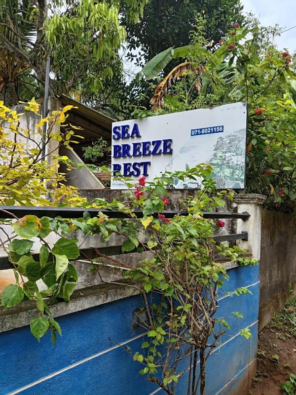 Sea Breeze Rest - image 15