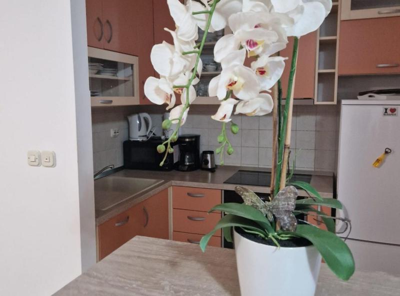 Apartment Antonia Trogir - Two-Bedroom Apartment With Sea View - image 18