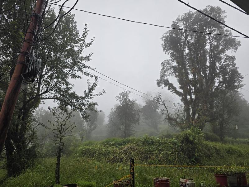 Tranquil Trails Home Stay Naddi - image 26