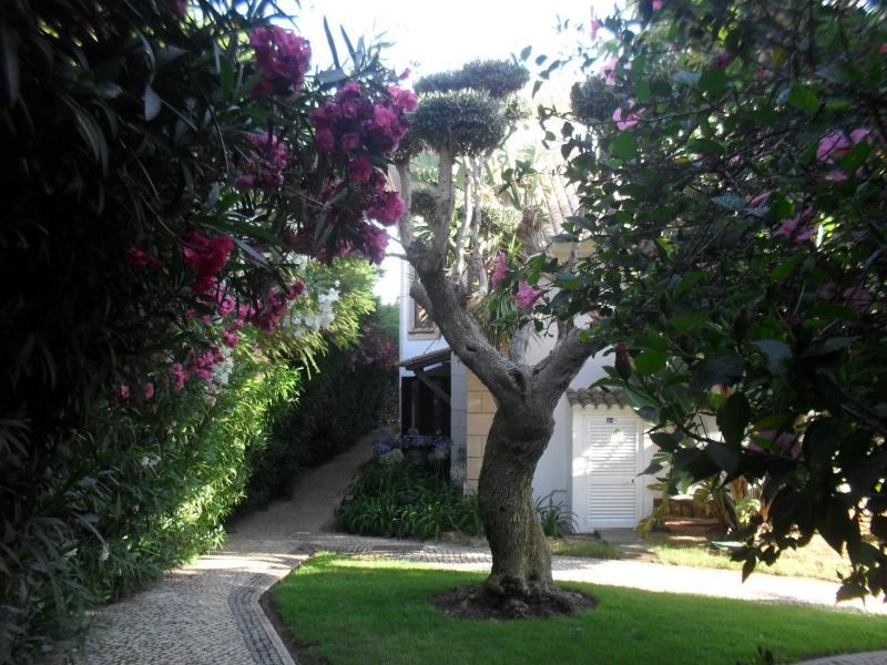 Luzmar Villas - image 28