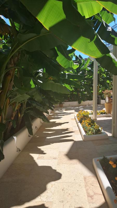 Villa Chrisanthi - image 38