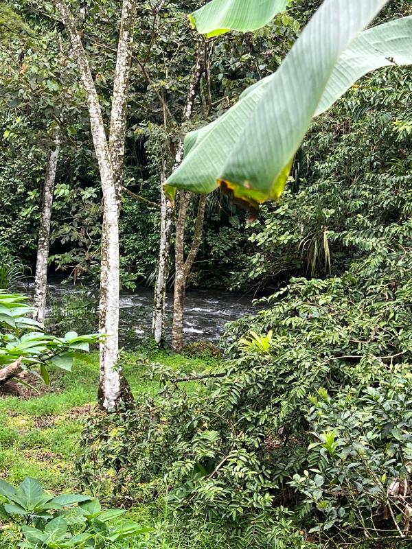 Peaceful Jungle Home River Access Arenal Views - image 3