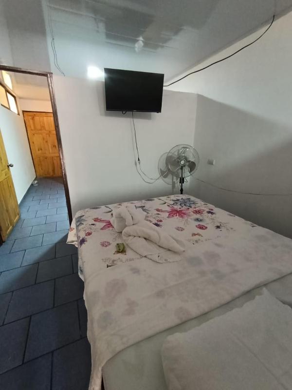 Apartamentos Novoa - image 9