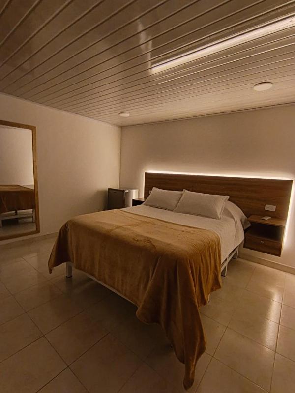 Alojamiento Hotel The hive suite - image 5