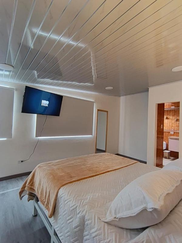 Alojamiento Hotel The hive suite - image 7