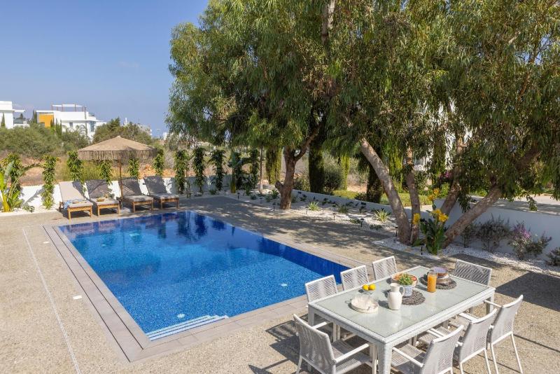 Protaras Leomi Seaview Villa - image 14