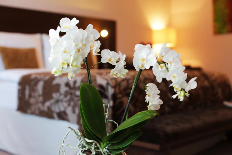 Superior Double Room image 2