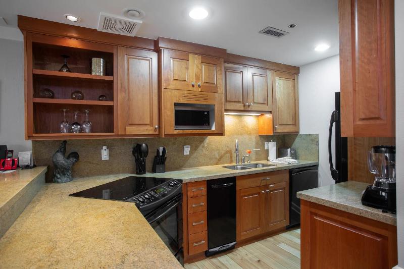 Royal Plaza at Deer Valley Resort - One Bedroom Condo with Hot Tub #301 condo - image 8