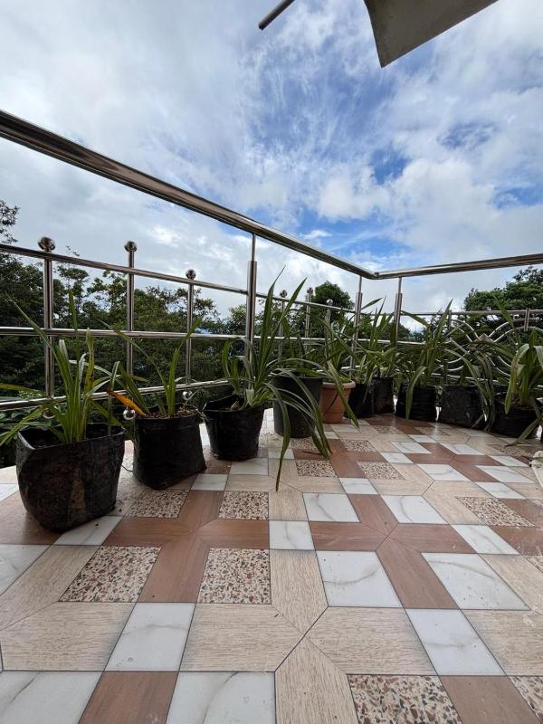 Rokas Eco Retreat Farmstay - image 6
