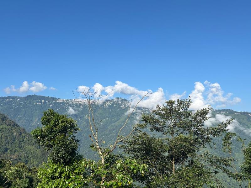 Rokas Eco Retreat Farmstay - image 13