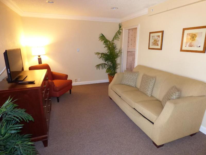 King Studio Suite - Non-Smoking image 2