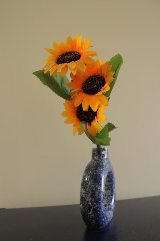 Radhey Bliss A Cozy Studio Home - image 19