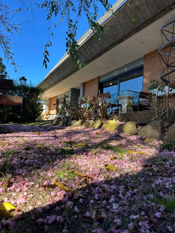 Tico Pousada - Campos do Jordão - image 35