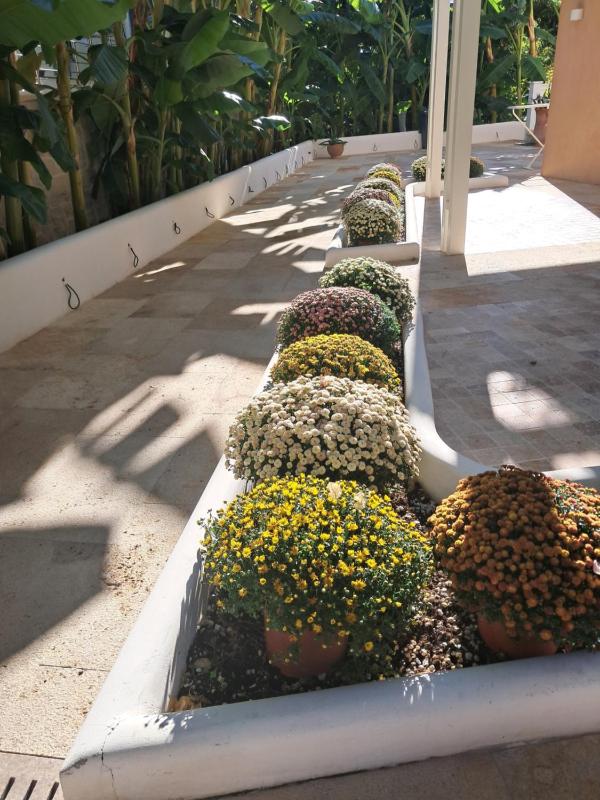 Villa Chrisanthi - image 48