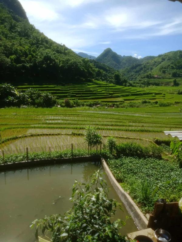 homestay chill Pu luông - image 3