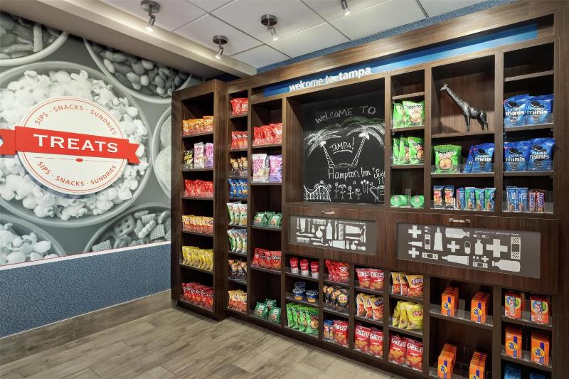 Hampton Inn and Suites by Hilton Tampa Busch Gardens Area - image 33