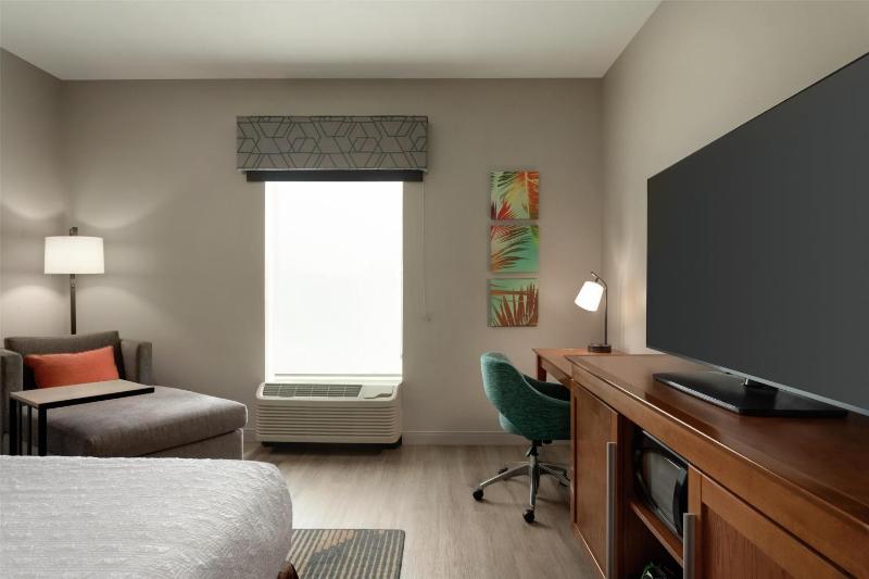 Hampton Inn and Suites by Hilton Tampa Busch Gardens Area - image 13
