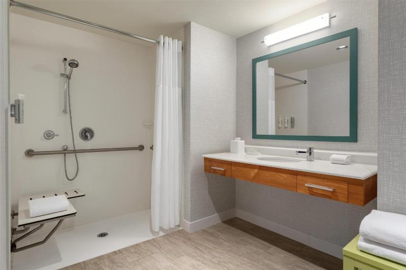 Hampton Inn and Suites by Hilton Tampa Busch Gardens Area - image 4