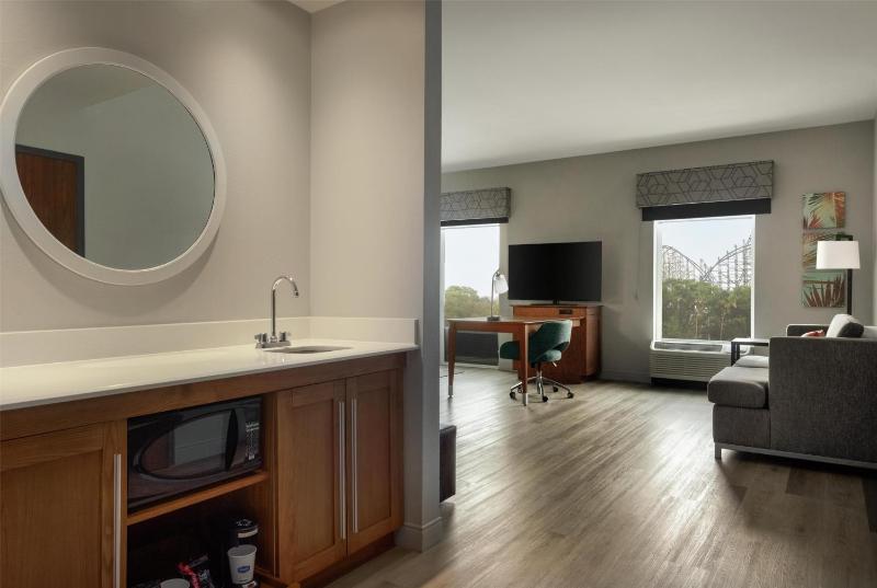 Hampton Inn and Suites by Hilton Tampa Busch Gardens Area - image 32
