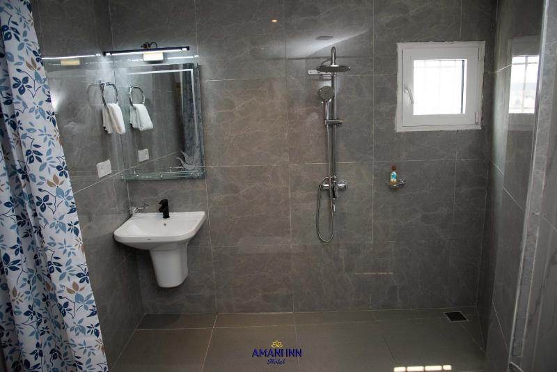 Amani inn hotel - image 7