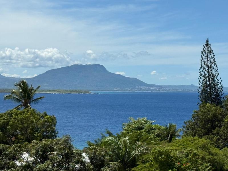 Sosua Inn Hotel - image 19