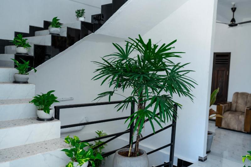 Sunbreeze Guest House - image 21