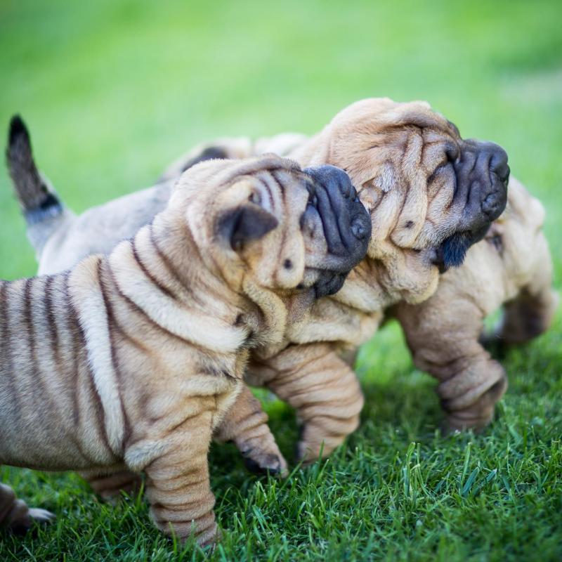 Empty lot (Bring your own Camper van) image 3