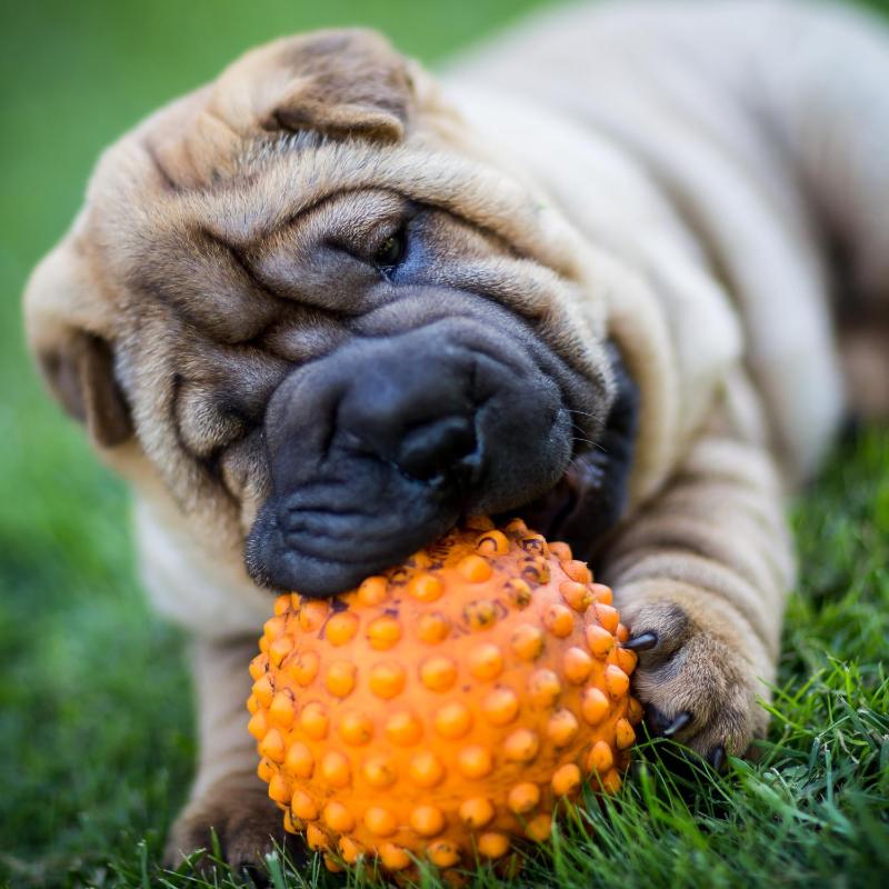 Empty lot (Bring your own Camper van) image 2