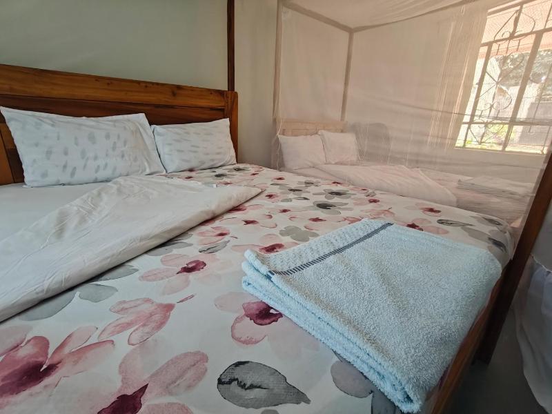 Arusha Garden Home - Antique Villa - image 14
