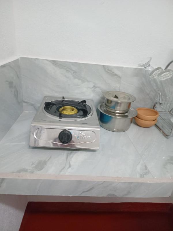 Rosy guest house. - image 5