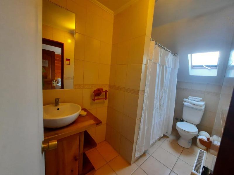 Alpes Hotel - image 8