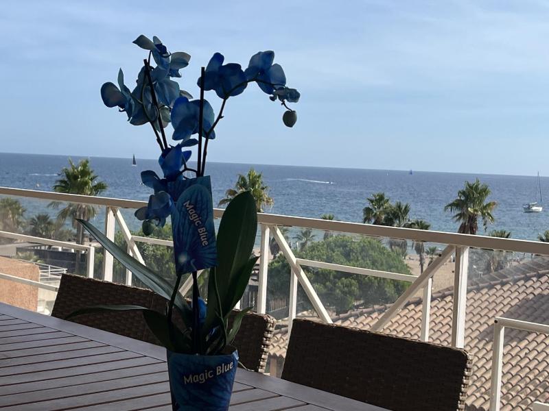 Magnifique vue mer avec piscine Cap Hermes 410 - image 8