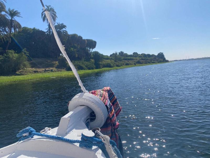 Felucca welcome sailing - image 7