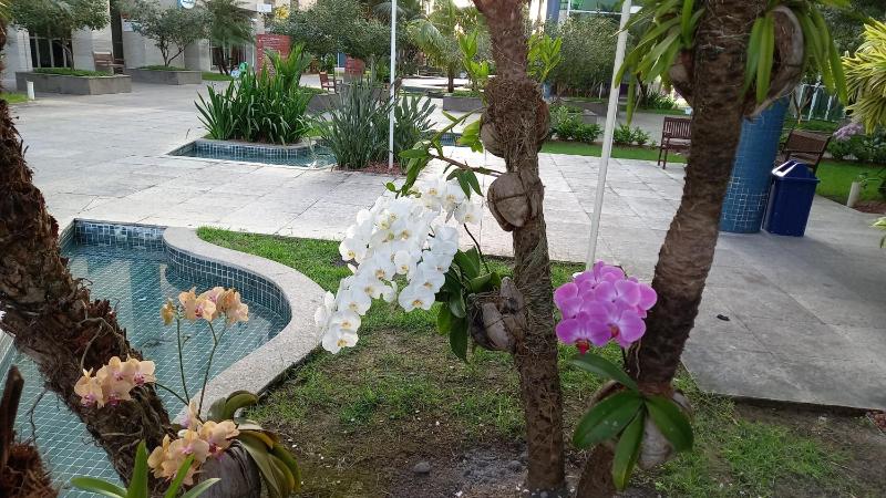 Apartamento beira mar por temporada - Maceió - image 42