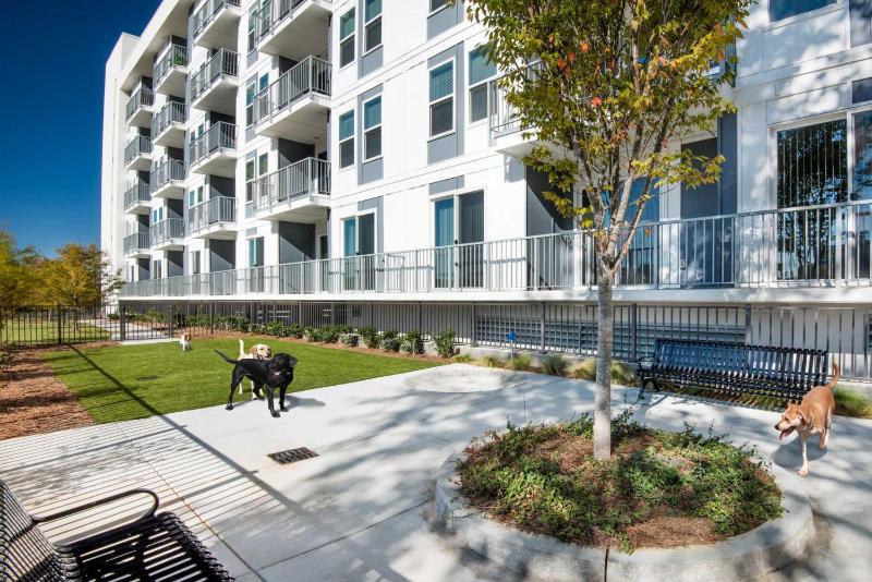 BCA Spectacular Apartments - image 9