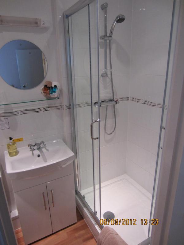 Superior King or Twin Room image 2
