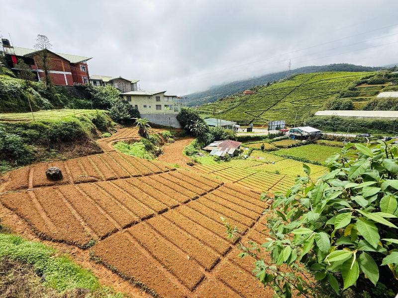 Ranmin Cottages B15-2 - image 15