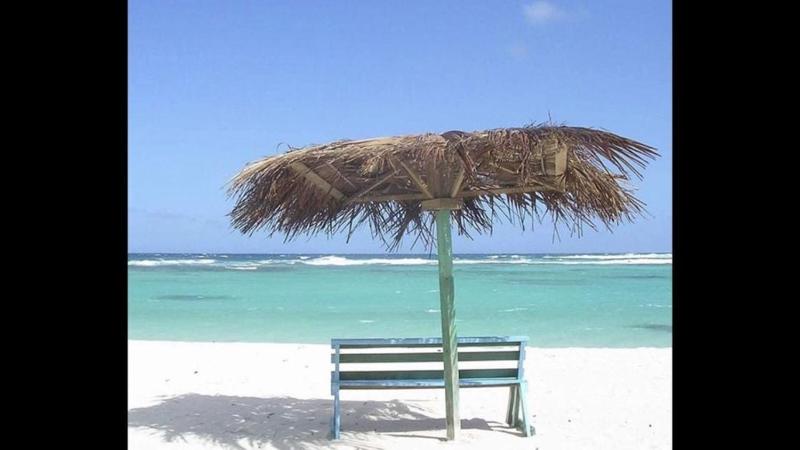 Seagrass Flats - image 34