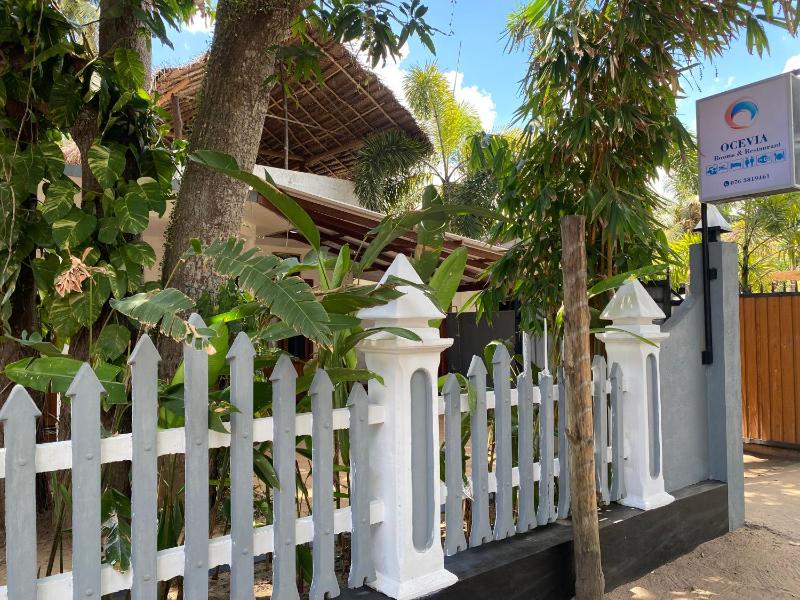 Ocevia - Tangalle - image 6